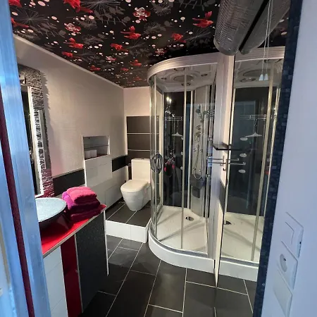 Superbe Duplex Climatisée Appartement Nîmes